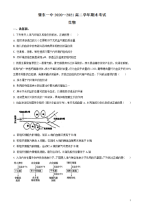 黑龙江省绥化市肇东一中2020-2021学年高二上学期期末考试生物试题 含答案