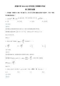 河北省衡水市武强中学2025届高三上学期期中考试数学试题 Word版含解析