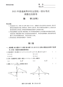 湘豫联考2021届高三五月联考-文数试题