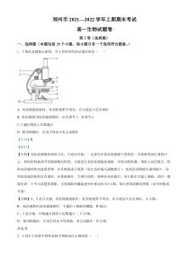 河南省郑州市2021-2022学年高一上学期期末考试生物试题  含解析