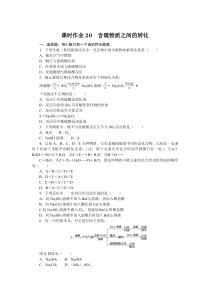 高中化学课时作业（苏教版必修第一册）课时作业20