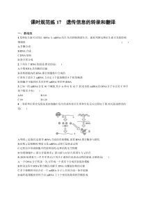 2025届高考一轮复习专项练习 生物 课时规范练17　遗传信息的转录和翻译 Word版含解析