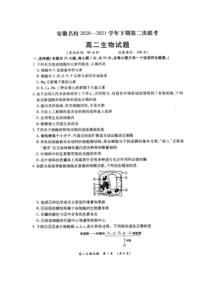 安徽省名校2020-2021学年高二下学期5月第二次联考生物试题