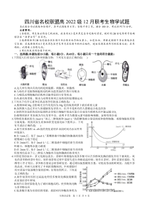 四川省名校联盟2025届高三12月联考生物