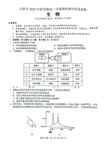 广西壮族自治区玉林市2022-2023学年高二上学期期末考试生物试题  PDF版