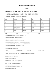 广东省梅州市2020-2021学年高一上学期期末考试化学试题 含答案