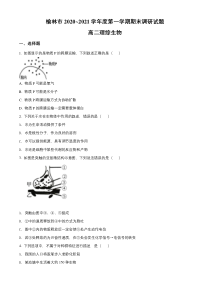 陕西省榆林市2020-2021学年高二上学期期末调研理科综合生物试题 含解析