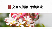 2024届高考一轮复习语文课件（宁陕蒙青川）板块五　文言文阅读 考点突破 40　精准翻译语句（一）——扣准语境，落实“分点”