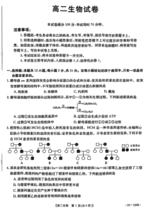 湖南省多所学校2022-2023学年高二上学期期中生物试题  扫描版