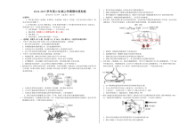 2024-2025学年高二上学期期中模拟考试生物试题（浙科版2019，选择性必修1第1~4章） Word版含解析