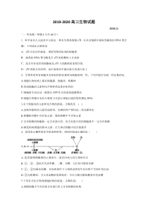 山东省济宁市泗水县2020届高三上学期期中考试生物试题含答案