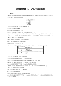 2025届高考一轮复习专项练习 生物 课时规范练10　光合作用的原理 Word版含解析