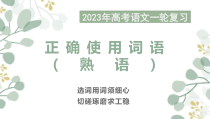 2023届高考一轮复习之正确使用词语 课件36张