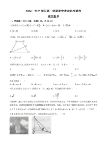 河北省邯郸市部分学校2024-2025学年高三上学期11月期中联考试题 数学 Word版含解析