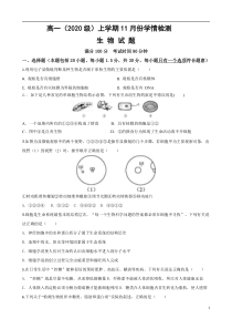 山东临朐县实验中学2020-2021学年高一11月月考生物试卷