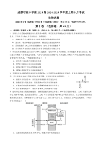 四川省成都市石室中学2024-2025学年高三上学期10月月考试题 生物 Word版含解析