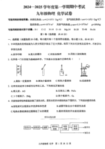 湖北省武汉市东湖高新区2024-2025学年上学期期中九年级理化试题（PDF版）+答案