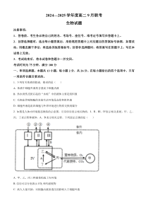 河南省周口市商水县百师联盟2024-2025学年高二上学期9月月考生物试题 Word版含解析