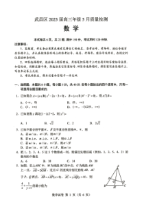 武昌区2023届高三年级5月质量检测 数学