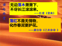 9《说“木叶”》课件76张 2022-2023学年统编版高中语文必修下册