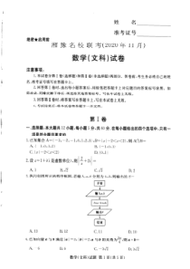 湘豫名校2021届高三上学期11月联考数学（文科）试卷