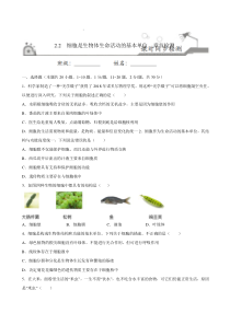 2.2 细胞是生物体生命活动的基本单位 章节检测-2020-2021学年六年级上册课时同步练（鲁科版五四制）（原卷版）