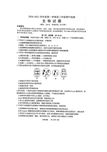 江苏省徐州市2021届高三上学期期中抽测生物试卷 扫描版含答案