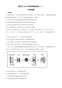 2023届陕西省咸阳市高考模拟检测（一）生物试题  