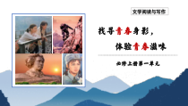 《立在地球边上放号》《峨日朵雪峰之侧》联读课件21张+2022-2023学年统编版高中语文必修上册