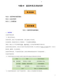 2024年高中生物学业水平考试必备考点归纳 专题05 基因突变及其他变异