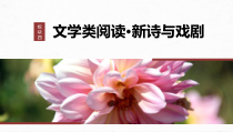 2024届高考一轮复习语文课件（新高考人教版）板块四　文学类阅读新诗与戏剧 20　新诗阅读与鉴赏——读懂为先，赏析为要