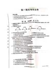 贵州省黔南州2019—2020学年度高一下学期期末考试生物试题扫描版含答案