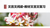 2024届高考一轮复习语文课件（新高考人教版）板块五　文言文阅读36　《种树郭橐驼传》《石钟山记》