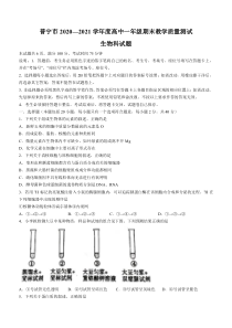 广东省普宁市2020-2021学年高一下学期期末考试生物试题含答案