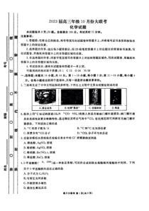 广东省2022-2023学年高三上学期10月大联考  化学试题  PDF版含答案