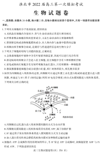 安徽省淮北市2022届高三第一次模拟考试生物试题