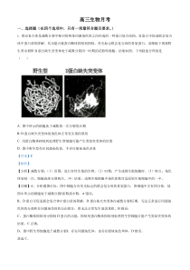 北京师范大学第三附属中学2024-2025学年高三上学期十月月考生物试题 Word版含解析