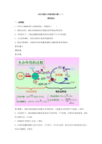 【精准解析】广东省广州市白云区2020届高三3月训练（一）理综生物试题