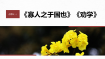 2024届高考一轮复习语文课件（宁陕蒙青川）必修3（一） 单篇梳理　基础积累 课文1　寡人之于国也