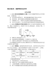 2021新高考版生物二轮专题复习整合训练（四） 细胞呼吸和光合作用 含解析