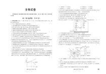 河北省沧州市部分高中2023-2024学年高三上学期11月期中考试 生物