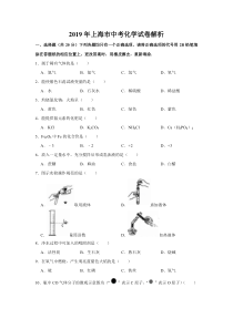 《上海中考真题化学》2019年上海市中考化学试题及答案