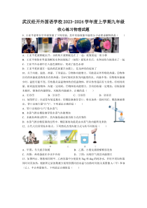 湖北省武汉市武汉经开外校2023~2024九年级上学期收心练习物理试题（word版）