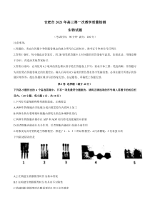 安徽省合肥市2021届高三上学期第一次教学质量检测生物试题 含答案