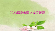 2023届高考语文二轮复习课件 成语新题训练 43张