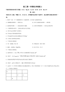 北京清华大学附属中学2024-2025学年高三上学期 化学9月检测试题 Word版无答案