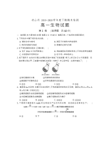 四川省凉山州2019-2020学年高一下学期期末考试生物试题含答案