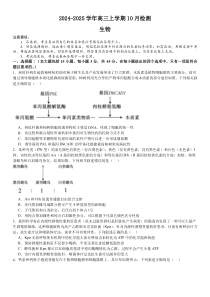 河南省许昌高级中学2024-2025学年高三上学期10月月考试题 生物 Word版含解析