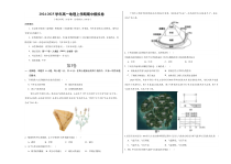 （新八省专用，人教版（2019）第1_3章）（考试版A3）【测试范围：人教版（2019）必修一第1~3章】（新八省专用）