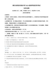 2024届湖北省武昌实验中学高三下学期高考适应性考试化学试卷 Word版含解析